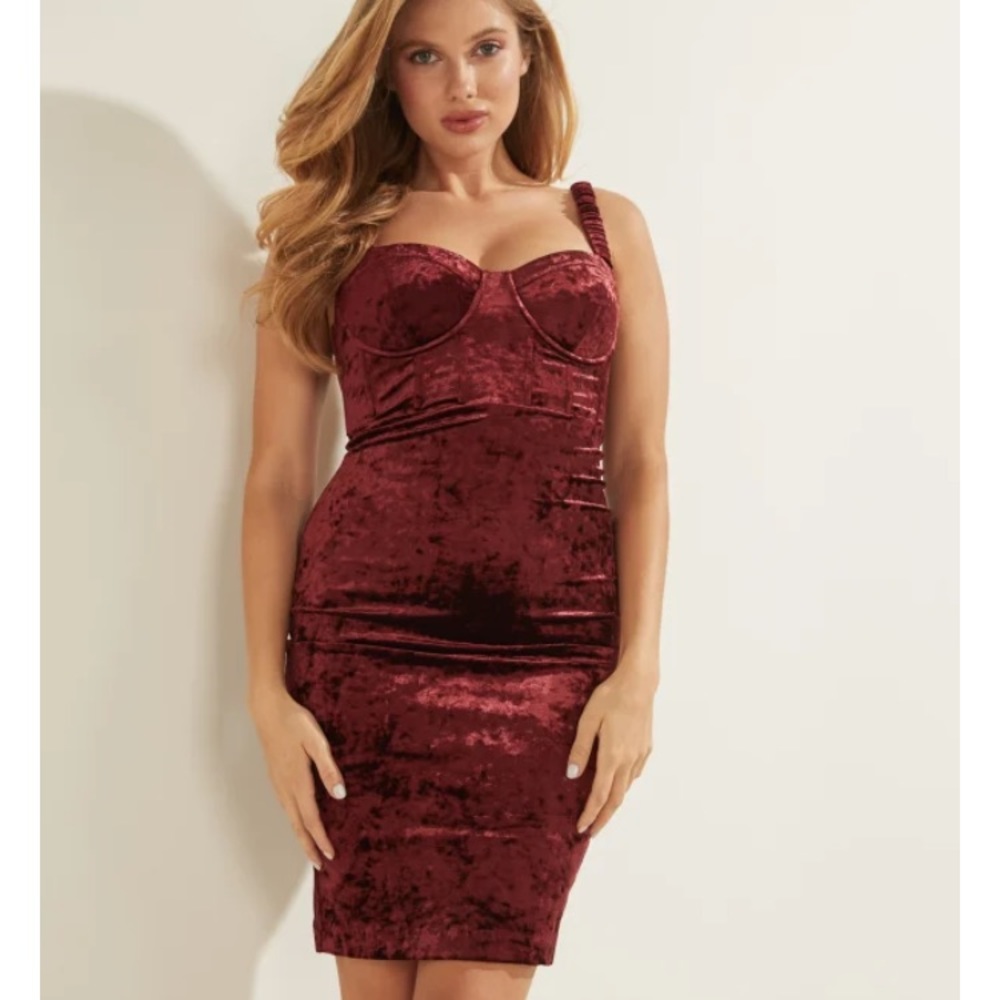 🛍️Guess Gianna Velour Dress. Burgundy rose. Size Xs. NWT